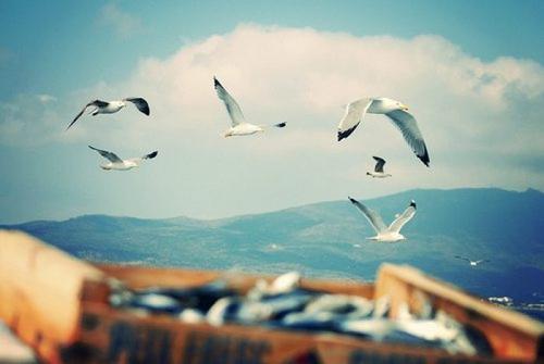 開發微信小程序要滿足的要求